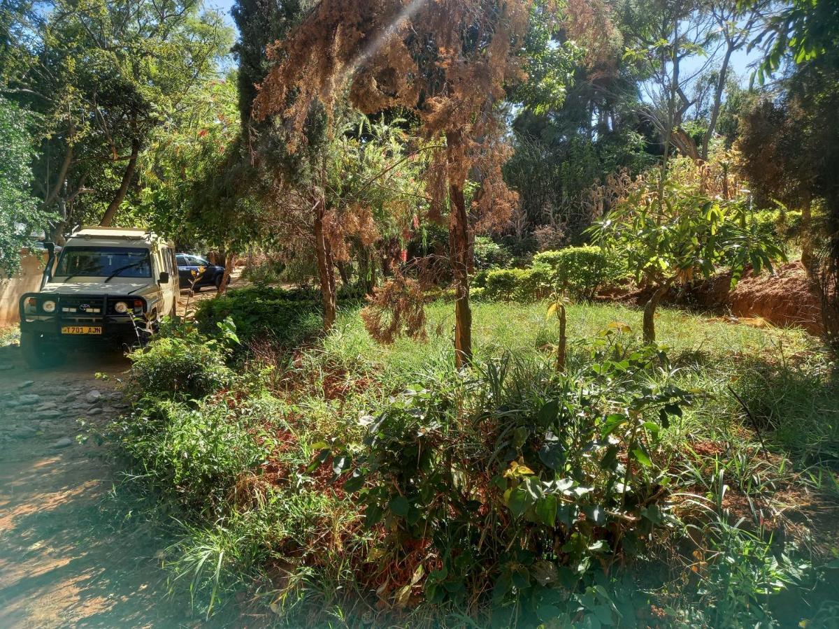 Emmy'S Backpackers Hostel Iringa Exteriér fotografie