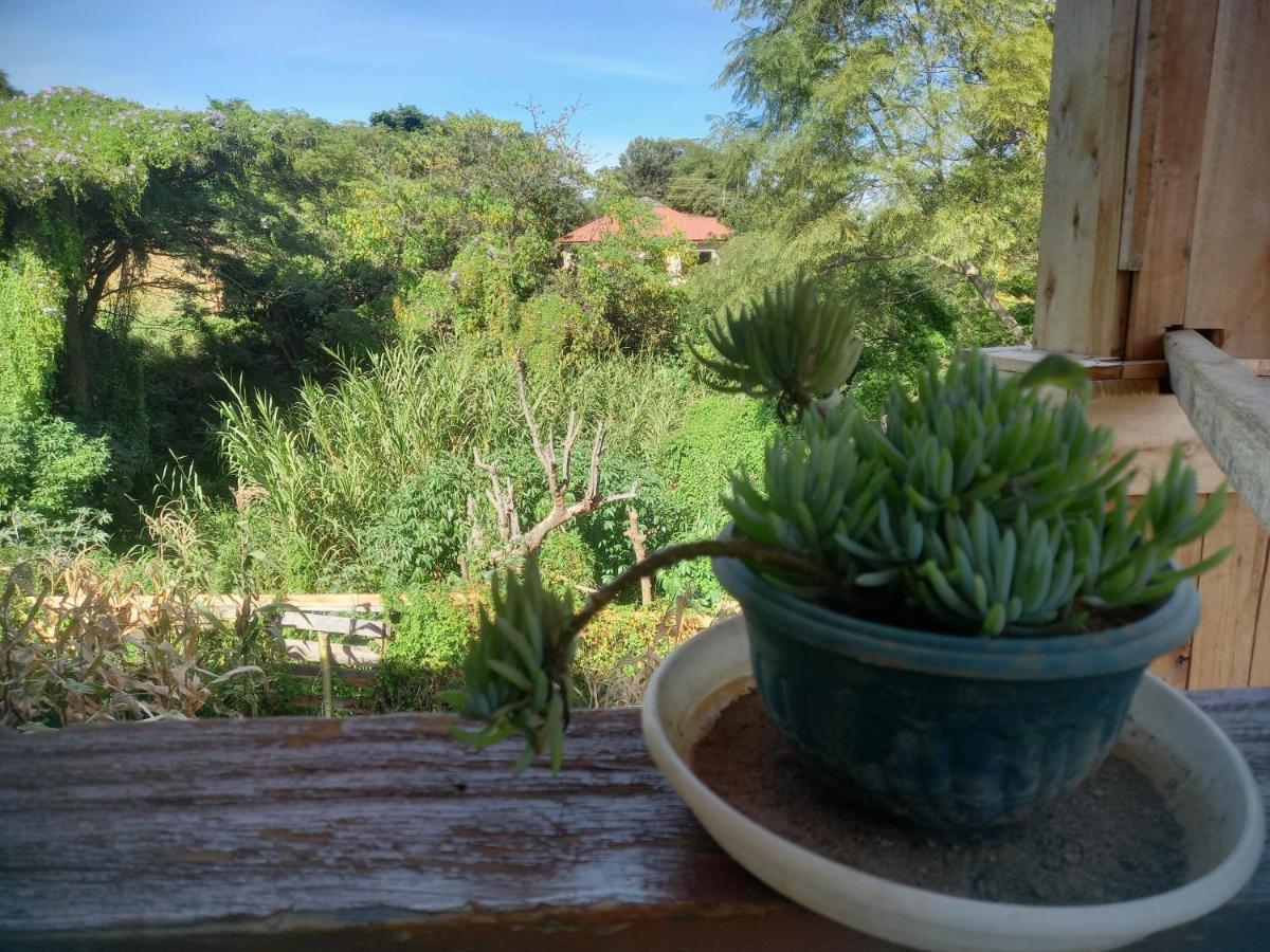 Emmy'S Backpackers Hostel Iringa Exteriér fotografie